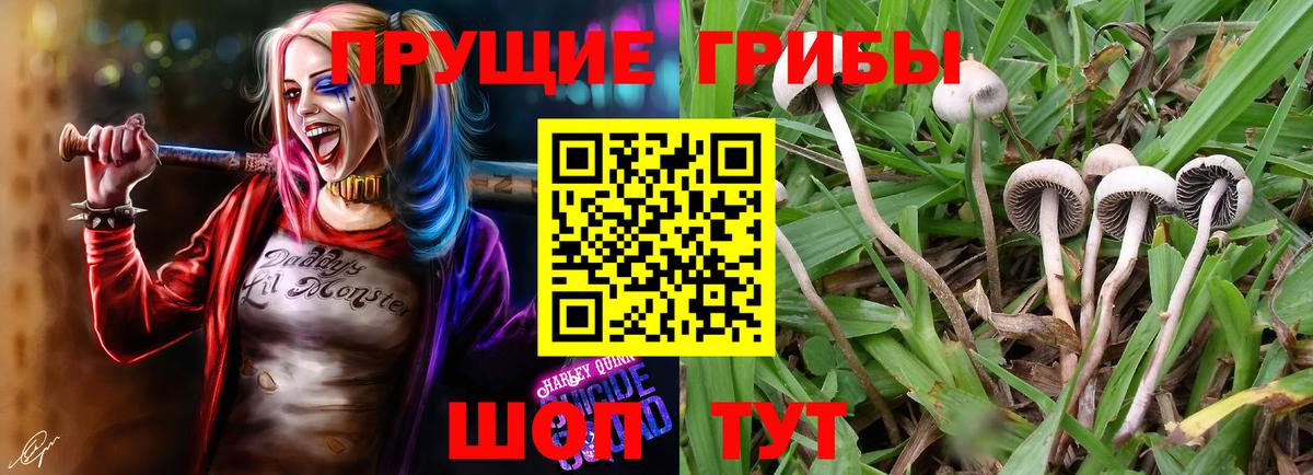 Псилоцибиновые грибы MAGIC MUSHROOMS Тихорецк